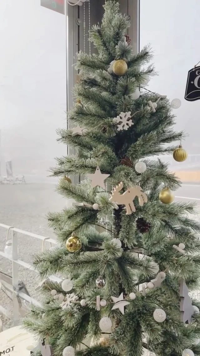 ✨
🎄✨TOMATOMARTのXmas✨🎄

真っ赤に実ったトマトたちが、
まるでクリスマスのオーナメントのように
キラキラ輝いています🍅🎁

今年のクリスマスは、
いつもよりちょっと特別な食卓にしませんか？

甘くてジューシーな直売所のフレッシュトマトを使えば、
サラダやパスタ、リース風トマトプレートなど、
彩り豊かなメニューが簡単に楽しめます🍽✨

#クリスマス2024 #フレッシュトマト
 #地元野菜 #直売所 #特別な食卓