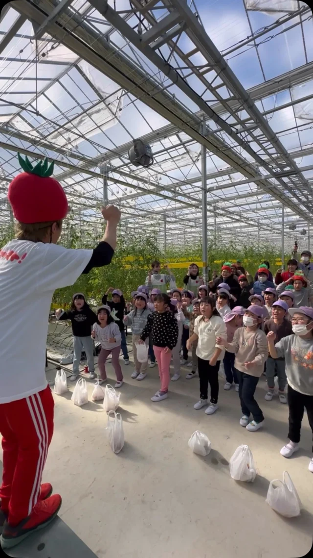 🍅
昨日は坂祝幼稚園の年長さんと、坂祝小学校 のなかよし学級のみなさんが、農場にに遊びに来てくれました！🌱

自分で収穫したミニトマトをパックに詰めてシールを貼るところまで、まるでプロの出荷作業👨‍🌾💪✨ 
みんな真剣な表情で取り組んでいましたよ！

さらに！ トマト兄さん と一緒に歌って踊って、農場内は大盛り上がり🎶💃

「トマトって楽しい！」「もっと食べたくなった！」という声も✨

子どもたちの笑顔に、私たちも元気をもらいました😊 
食べることの楽しさ、農業の大切さを伝える時間になっていたら嬉しいです！

また一緒にトマトを楽しもうね🍅🎵

#収穫体験 #ミニトマト #食育 #トマト大好き #農業体験 #地元野菜